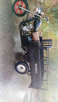 موديل 15 • شاصي مكفول • بابل كفل