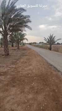 ٣ دونم • كامل خدمات • حله ابي غرق