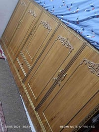 بوفيه حل وشد • نص كنتور • ديوانية