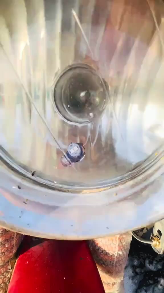 سلام عليكم ستوته للبيع كفاله عامه موديل ٢١
***********
***********
