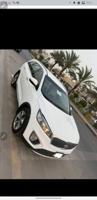 سورنتو • خليجية • سليمانيه