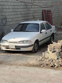 برنس بلادية • رقم ديالى • سنوية ساقطة