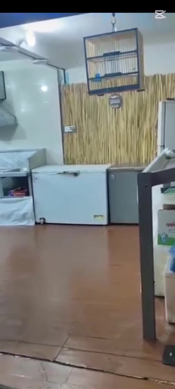محل لشوي و قلي الأسماك للبيع
السلام عليكم
محل للبيع المكان الديوانية حي الجزائر شارع الضغط 
المحل لبيع الأسماك الشوي و القلي 
المحل شغله جيد جداً. وعليه زبائن خير من الله

سبب البيع عدم التفرغ  بسبب ظروف خاصة و 
بي صفحة انستغرام 7000 متابع .
وصفحة فيسبوك.
المحل يحتوي على .
تنانير عدد 3 
مناقل عدد 2
قلاية سمك كبيرة عدد 1
قلاية سمك ابو زريدة عدد 1
مفرغة هواء عمل  عدد 1
مجمدة شغالة + مجمدة كشر
ثلاجة عدد1
حوض اسماك حديد ستانلس عمل درجة اولى 
سنك عدد1
عارضة أسماك عدد1
ميز تحضير طلبات خشب عدد 1
ميز تحضير سمك عدد 1
تانكي 250 لتر
ماطور ماء 
سقفيات عمل 
فلينات 
سفريات متنوعة 
كراتين  تجهيز الطلبات 
وسكاكين و ميزان و قناني 
و شغلات ثانية 
للاستفسار الاتصال على الرقم 
***********
