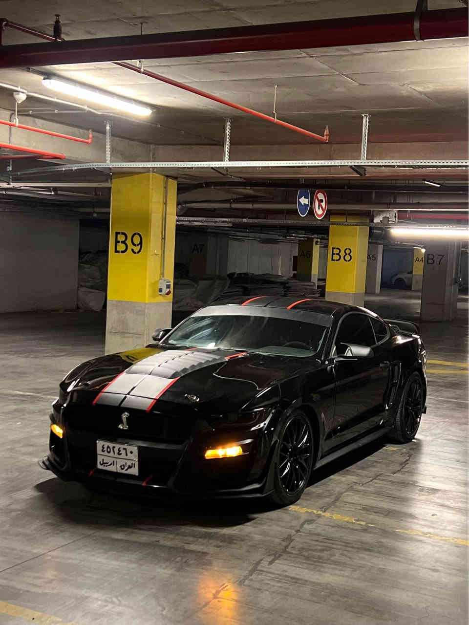 ‏Mustang 2016 V6
كير محرك اكسل شرط
صبغ بوند محدث واربع قطع ابيع حزام 
ايرباك دشبول مطاك 
ماشيه١٠٦ mi
صدر امامي خلفي جديد
تبريد كهربائيات شرط
الاضافات
دعاميه شيلبي
لحية شيلبي
سبويلر جيتي 
كزوز روش دبات
دفيوزر 
داخل كاربون فايبر كامل حتى قعده مال تبريد كاربون فايبر
 ويل ٢٠ نقشه حلوه
تايرات نظيفه
لايتات نشره 
 كوشن كهربايي
كزوز رياضي فصله و طلاقات
سياره شرط مابيها مصرف نهائيه
رقم اربيل 
تحويل شرط باسم شركة 
مكان سياره دهوك
سعر 136$
‏Watsapp *********** أربيل, العراق
