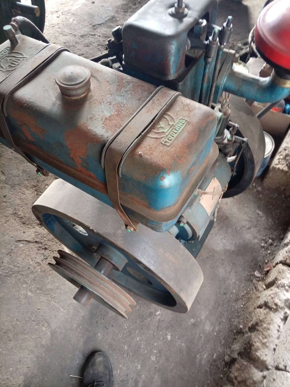 16حصان توبلاند ابو الكف بلادي ***********
