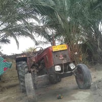 عنتر • رقم ٨٥ • سنوية بدون تحويل