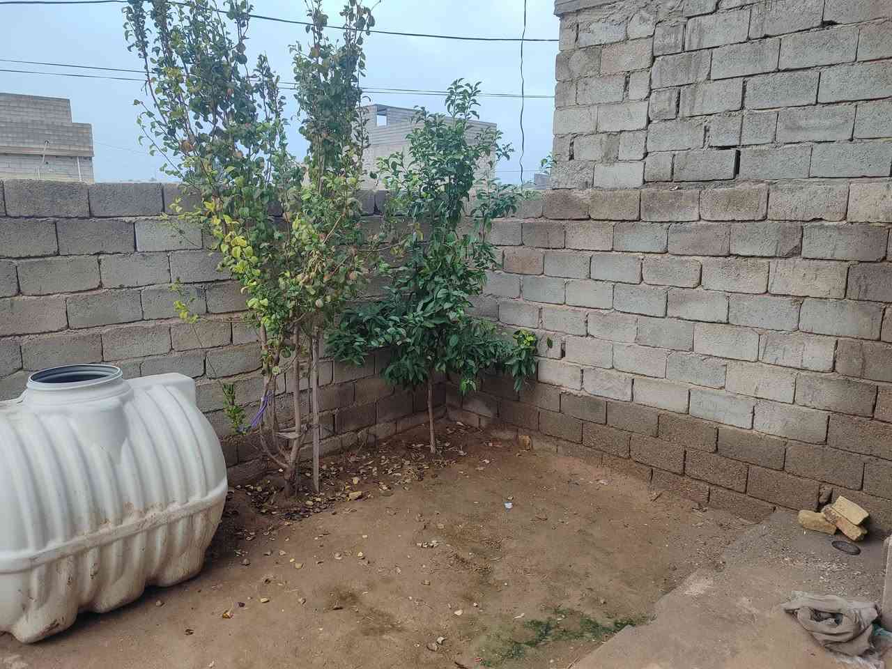 سلام عليكم 
دار للبيع المساحة 200متر طابو صرف يتكون من استقبال ومطبخ وصالة وغرفتين نوم نقص سيراميك الموقع نهر الشيخ حي العسكري السعر 70 وبي مجال للاستفسار ***********
