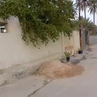 نزات عباس مطلب • بيت زراعي • ٢٤٠م