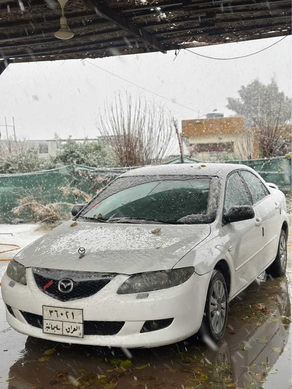 سعری ٣٧ وەرەقە و ٧ وەرەقە خرامەی لەسەرە دەیدەمەوە 

 ژمارەی مۆبایل *********** وەتسئەپی لەسەرە 

مازدا زووم٦ مۆدیل ٢٠٠٣ گێر تۆماتیک 

گێر و مەکینە بەشەرت  

سبوخ عامە بۆ جوانی

سەنەوی ٢٠٢٤ە و ٧ وەرەقە خرامەی لەسەرە دەیدەمەوە 

سعری ٣٧ وەرەقە و ٧ وەرەقەی لەسەرە دەیدەمەوە واتا ٣٠سافی 

( *********** )وەتسئەپی لەسەرە أربيل, العراق
