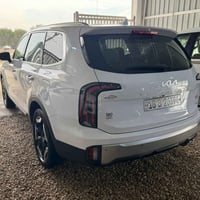 تلورايد • ٢٠٢٥ • تقرير غرق