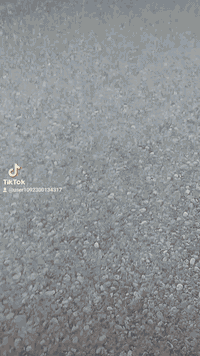 الاستفسار  ***********
