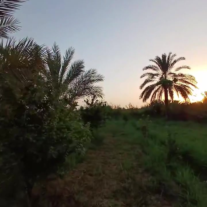 السلام عليكم ✅للبيع دونمين طابو ملك صرف ✅ بغداد البداغيه ✅ تريد دونم او دونمين ماكو شكال ✅ مخدومات بالكامل متوفر ماء سقي وماء اساله وكهرباء ✅اللا ستفسار ✅***********
