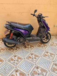 سكنس جبلي • معدل • نقصه اشاير