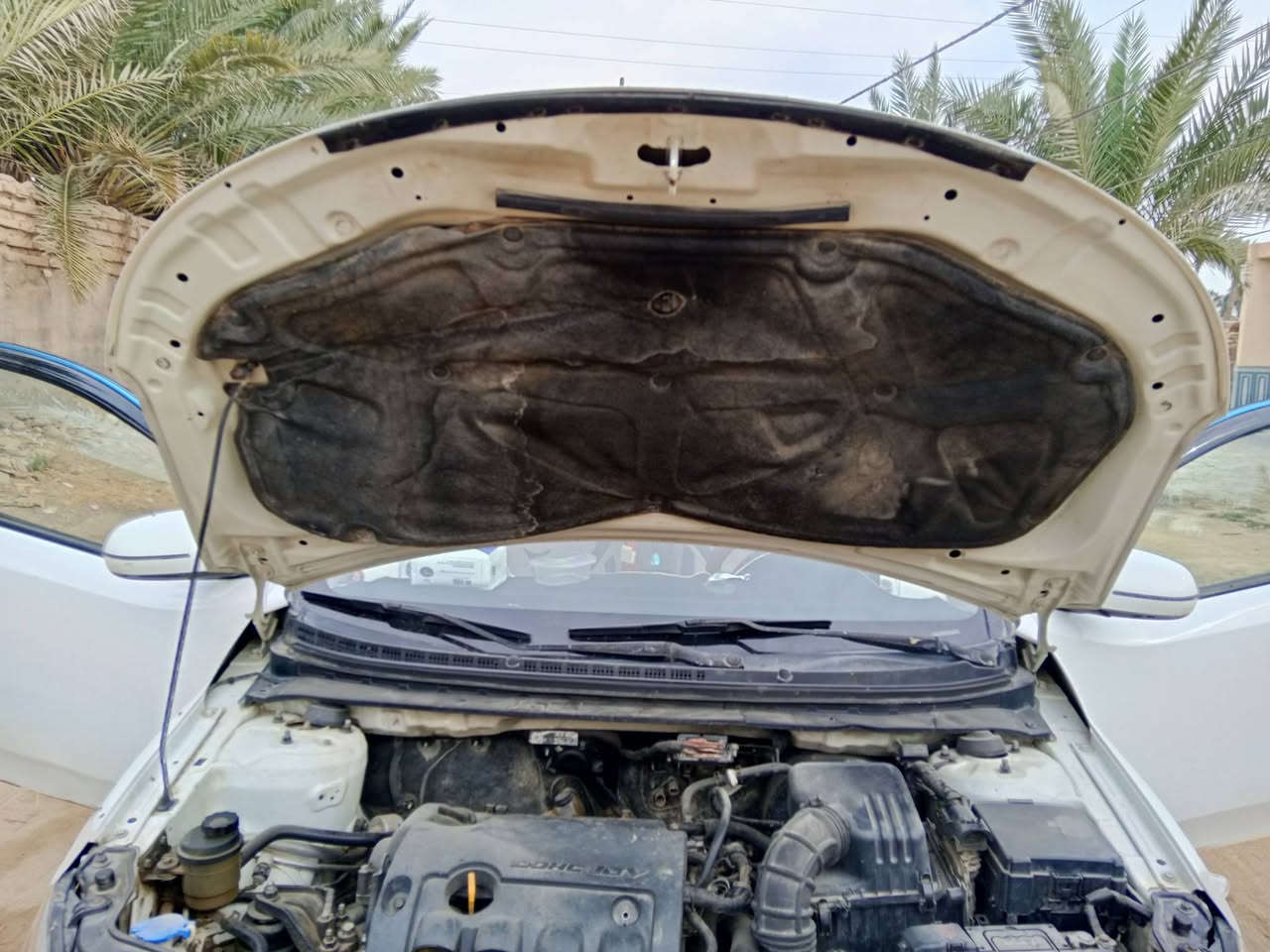 سيراتو 12 الستفسار***********
