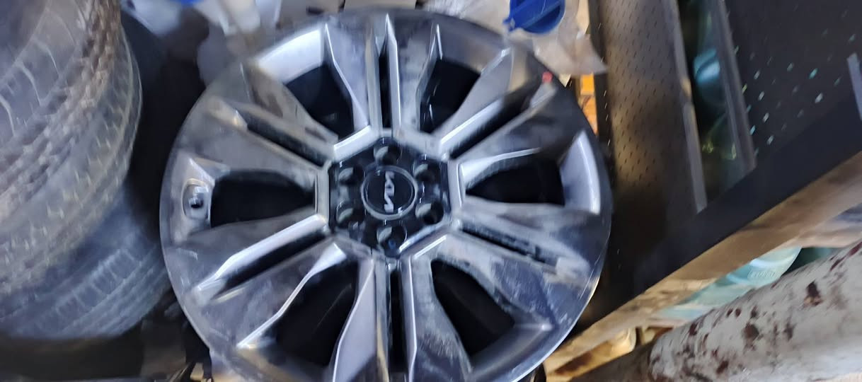 تخم ويل موهافي للبيع شكل  ٢٢ لل٢٥  يرهم جميع الموديلات الي يريده  ***********
