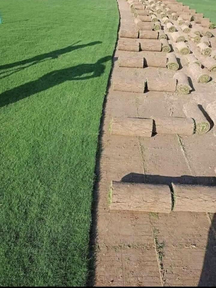 ***********خدمت توصيل لجميع المحافظات ويوجد كادر لتجهيز الحدائق لطلب ولستفتار التصال على الرقم أو مراسلت الصفحه *********** واتساب
