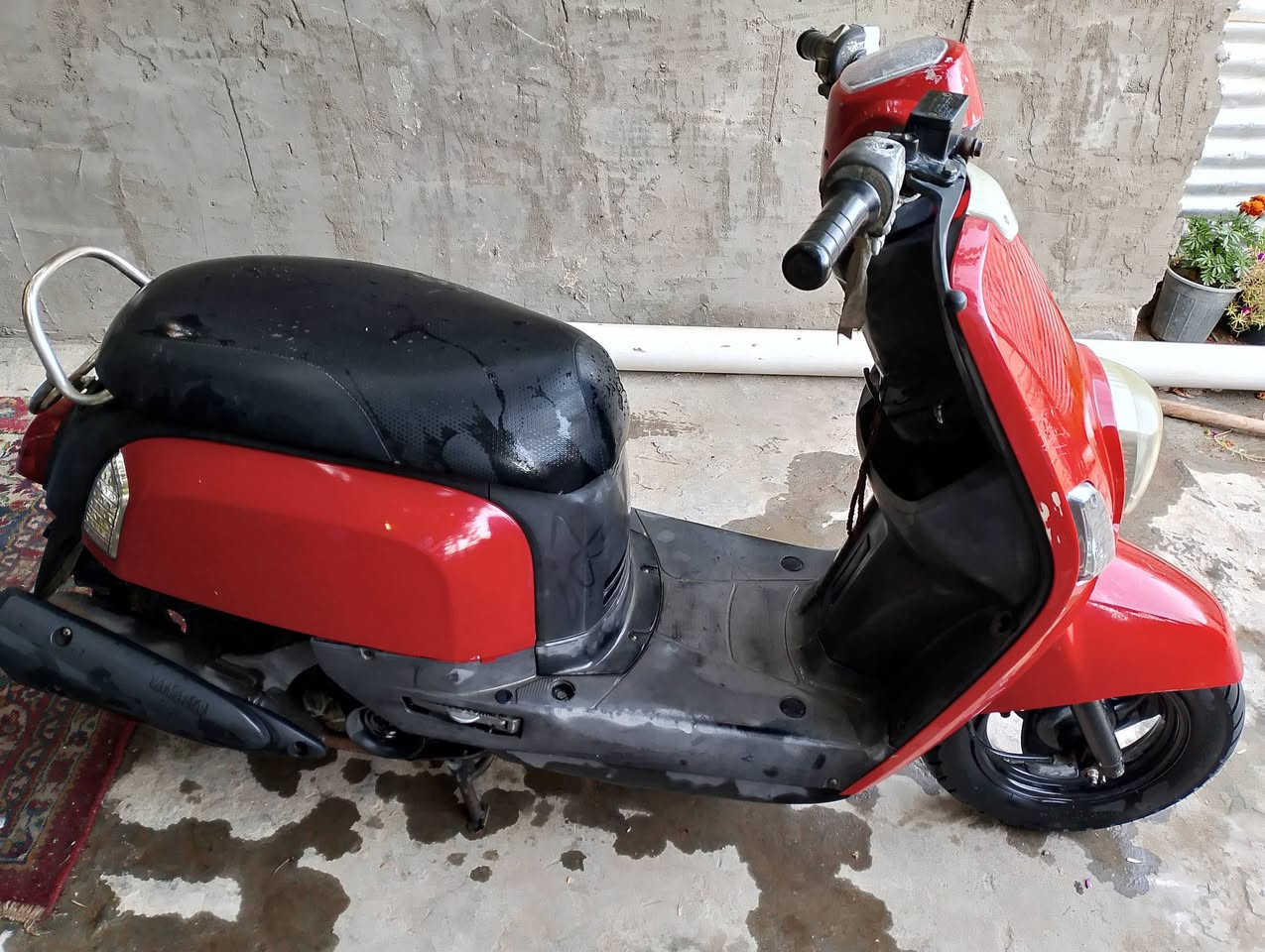 بولسي للبيع 2008
مفتوحه 700بيه مجال كربلاء الحر ***********
