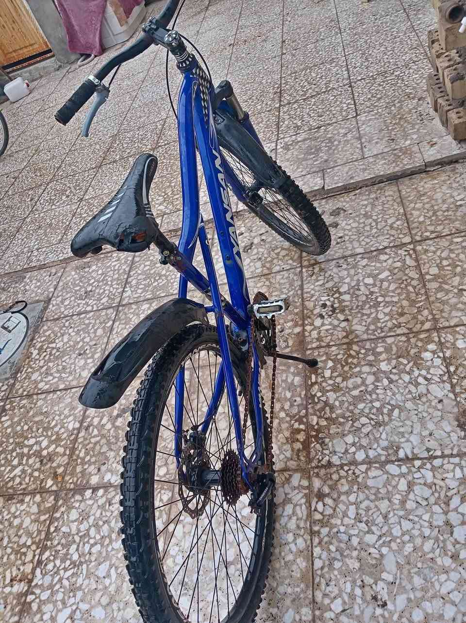 السلام عليكم بايسكل جبلي ياباني ابو الدبل كامل ما بي نقص السعر 60 و بي مجال مكاني بغداد الشعب
*********** متواجد واتساب
