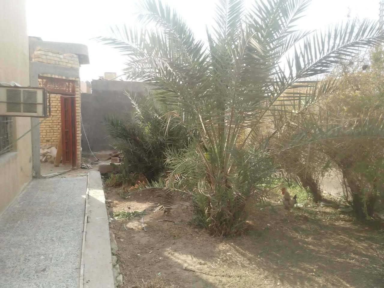 اللهم صل على محمد وال محمد 
بيت للبيع بدور السكك مساحة 300م  قرب اسواق زمزم خامس بيت عن الشارع السكك الرئيسي طابق واحد يتكون من غرفتين وصالة  وهول ومطبخ وحمامات داخلية وحديقة مع بناء اضافي براني بطول 12 متر وغرفه وحمامات خارجية (ملاحظه ) البناء الأضافي هيكل فقط واصل للسكف البيت نضيف ومسكون حاليآ
 السعر المطلوب قفل ( 90) مطلوب( 12)  بألامكان تحويل الطلب ع المشتري للاستفسار اكثر  زيارة  مكتب ارض الذهب للعقارات 
📍 العنوان: الجربوعية الأولى مقابل جامع الإمام الحسن/ او الأتصال 👇
 واتساب 📞 *********** — كرار 
📞 *********** — محمد

على قدر ثقتكم يكون التزامنا
