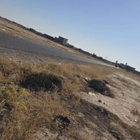 دونم زراعي • ٥٠×٥٠ مربع • قرب الحولي