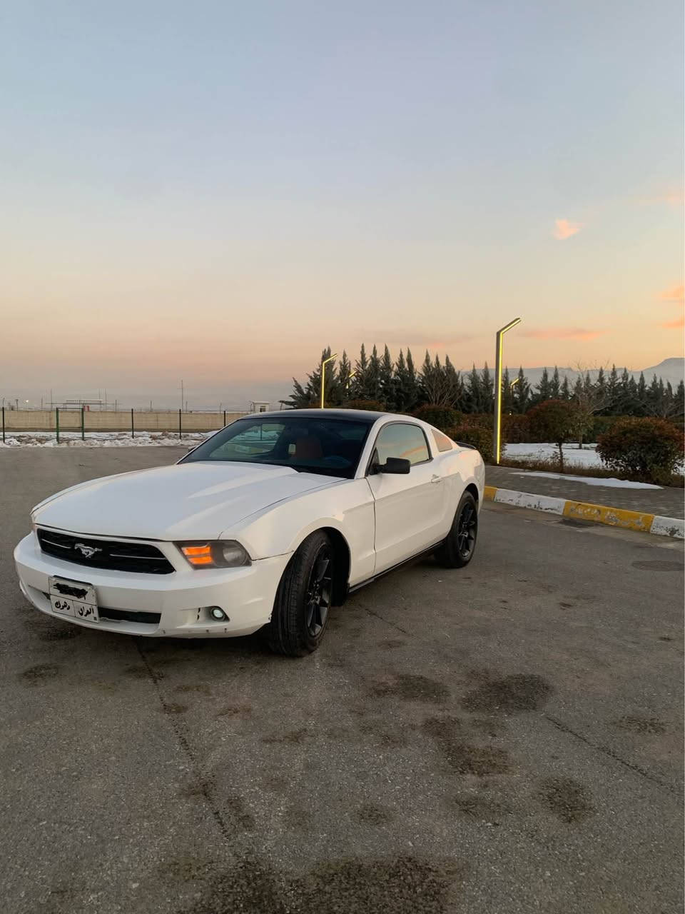 مە ستانگ ٢٠١٠
٦بستۆن v6
گێڕو مە کینە ی بیلاد 
 ڕە قە م دهۆک ە 
187هە زار ڕۆشتوە 
موس و بڕاوە نییە بە شەرت 
بە شەرتی ئە وە لیاتو  حجزی لە سەر نە بێ دزیاری نە بێ ماڵی کە س نە بێ ئە یفرۆشم 
بە شەرتی تە حویل و خرامە نایە م
سە قف پانۆراما 
هە مو گیانی مە زبوتە 
ساردی و گە رمی مە زبوت 
دە عمی نییە 
شان وسە قفی بۆیاخ نییە 
حیزام بۆیاخ نییە بە شەرت 
هە موگیانی مەزبوت و بە شەرت 
ئە وە هە مو زانیارییە کانیە تی تکایە جوان بیخوێنە وە ئینجا تێل بکە تکایە نامە مە نێرە بۆ پرسیار بۆ تە حویل ناکرێ و ..هتد 
گە ر موشتە ری لە مە سنجەر یان لە رە قە م 
تێل بکە 
جوابی کۆمێنت نایە مە وە  
بۆ فرۆشتن یا گۆڕینە وە بە شتێ دڵم بیگرێت 
لە سلێمانیم 
سعری55
*********** 
وەتس ئە پیشی لە سەرە السليمانية, العراق
