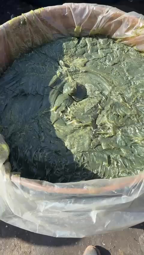 180 كيلو سعر مناسب جدا في اربيل  ***********
