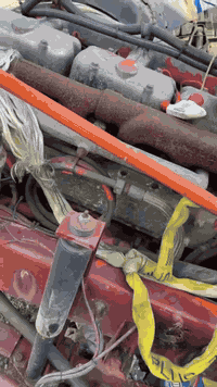 ***********
***********
