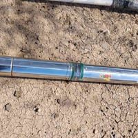 غطاس ابو ال4انج للبيع مع خنزيرة ام الستة عدد 2 للبيع المكان بغداد 0771...