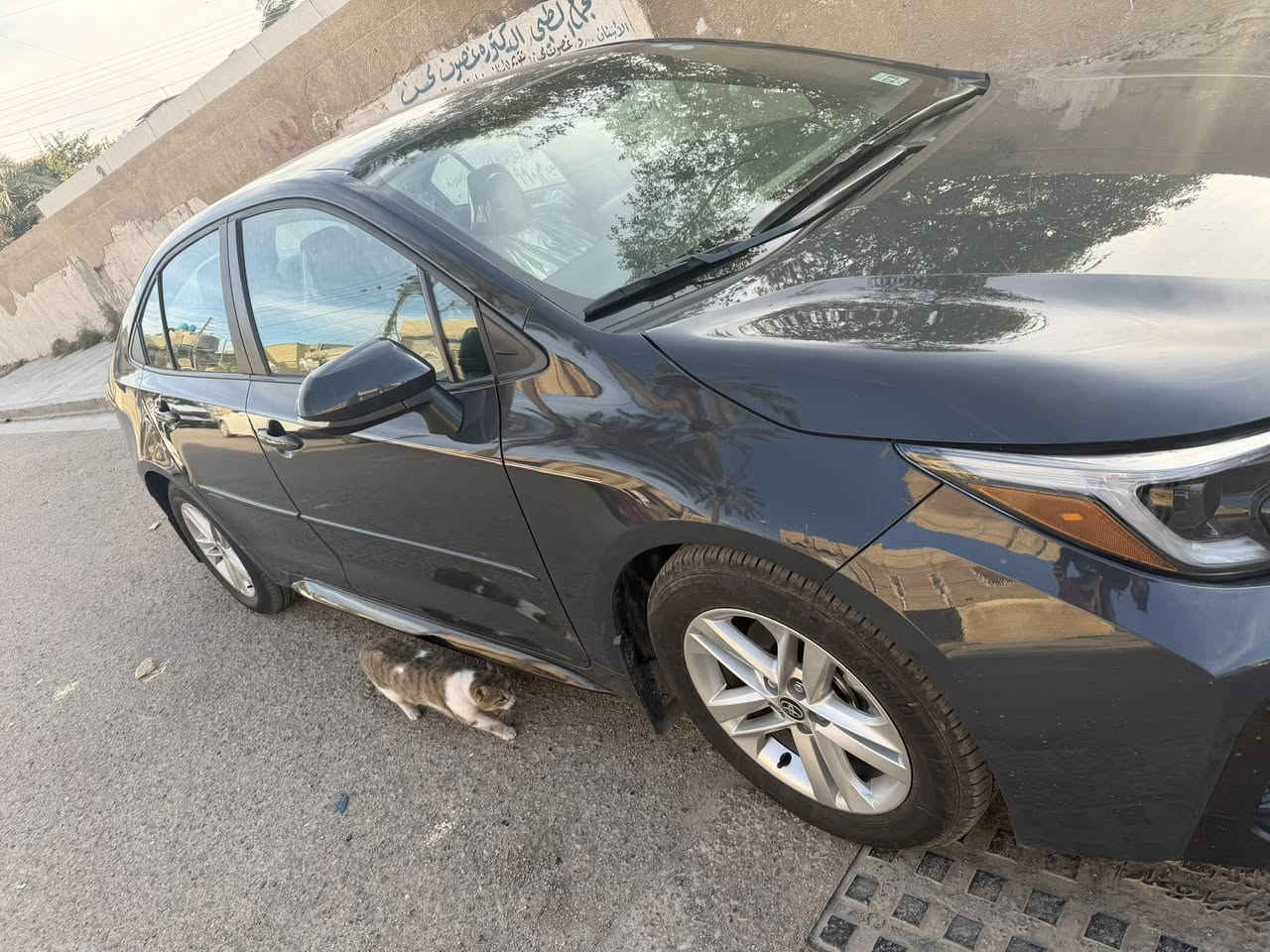 السلام عليكم ورحمه الله وبركاته
للبيع كورلا se ٢٠٢٥ وارد امريكي 
عداد الكيلو متر ٧٥٠٠
لون سمنتي دخاني مميز 
مكينه ٢٠٠٠
بصمه تشغيل عن بعد . رادارات . اشاره ترحيب 
القبضات مال الباب بيانوبلاك. الداخل بلاك ايدشن. سايد بريك دكمه .
ويل كبير . مانع انزلاق . دبل صالنصه خلفي
دخول ذكي.اوديو . كروس سرعه . الكشنات اسود واحمر . ايرباكات كلها سليمه بس ايرباك البرده طاك  وحادثه موضح الكم بالسونار  سياره رقمها اربيل وب اسمي تحويل ثاني يوم  سياره ياباني وارد امريكي مو هايبرد سياره بانزين فقط  فول السياره ماعده الفتحه  مكاني بغداد حي العامل سعرها ١٨٠ الموشراي لايتصل ولايتعب ولايكسر بحلال العالم  للعلم السياره مدوشمه بالكامل ارضيه وكشنات وصندوق حفاضا على كشناتها الاصليه
للاتصال ***********
