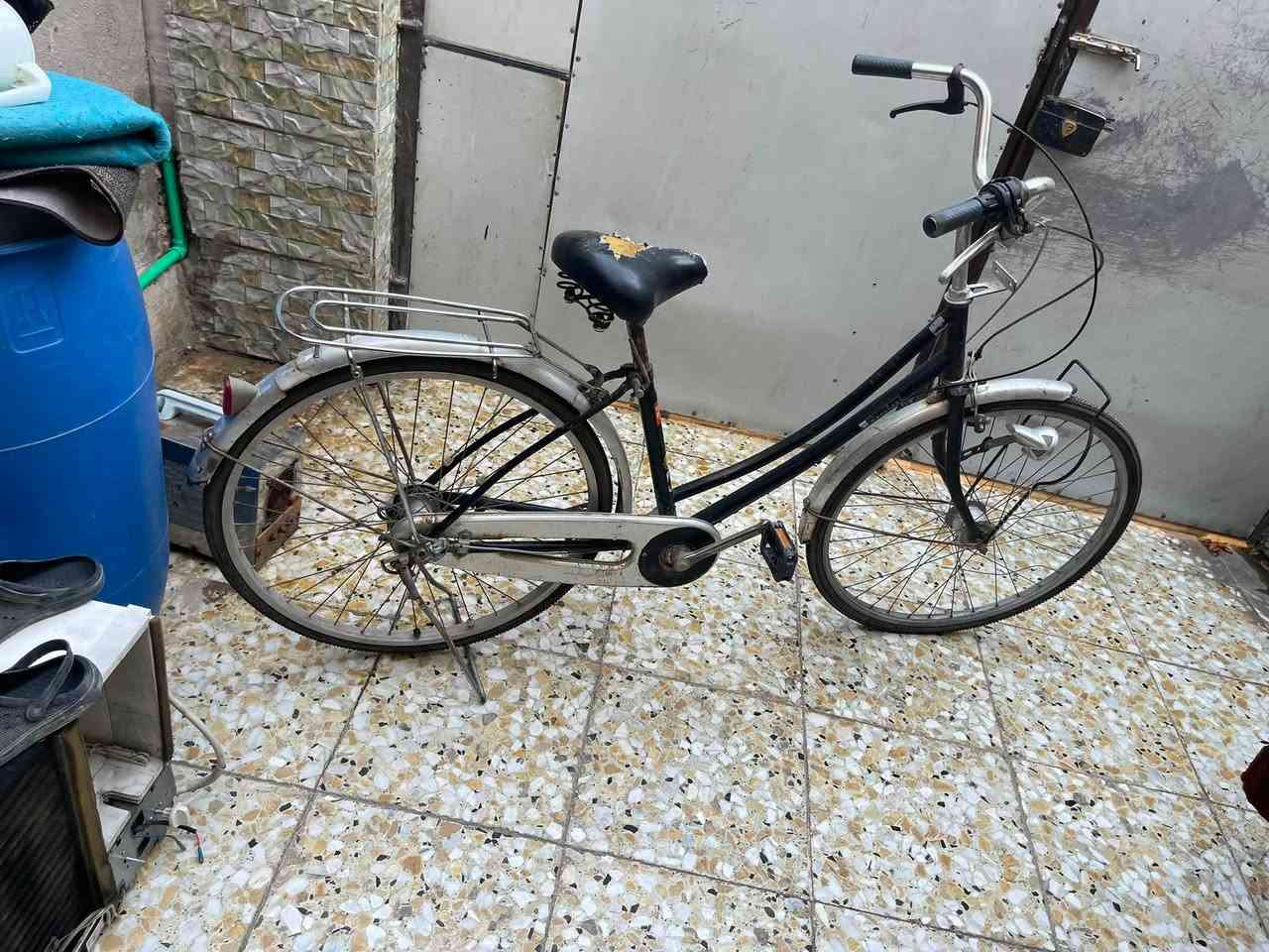 شلونكم شباب الي عله باب الله
عندي ذني بايسكلات  ابيعهن شلع ولتكلي نزلي 

هذني ٧بايسكلات يرادلهن ترتيبات قليله ابيع شله ٢٣٠ الف 

مكان بغداد الدوره 

هـ***********
