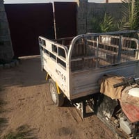 ستوته • صلاح الدين • مجهر