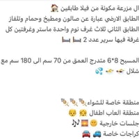 البحر الميت • مزارع • شاليهات