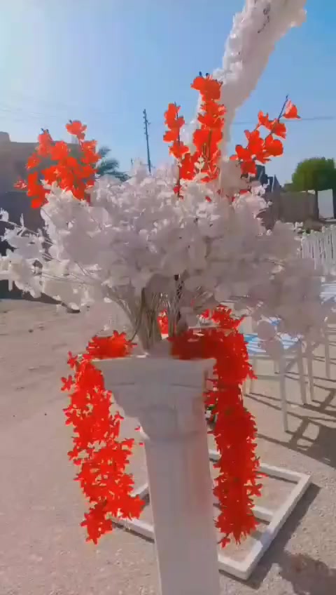 للحجز خاص او واتساب بابل القاسم
*********** كيك 

*********** جادر
