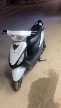 ماكس • بوشة 55 • تنومة