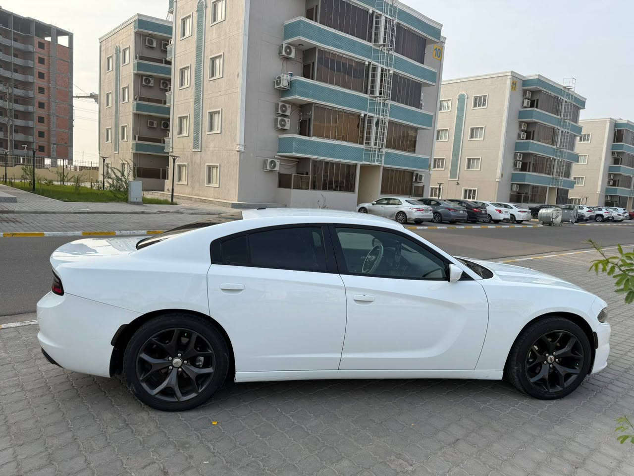 جارجر كندي 2019 رقم أربيل سنويه بأسمي كفاله سياره عدى بارد اصبع بالمدكر الخلفي سياره نضيفه معنى الكلمه ماشيه 80 مكاني البصره سعر 240


**إذا كنت صاحب هذا الإعلان وتريد حذفه لأي سبب، رجاءا أرسل رسالة إلى الدعم الفني**