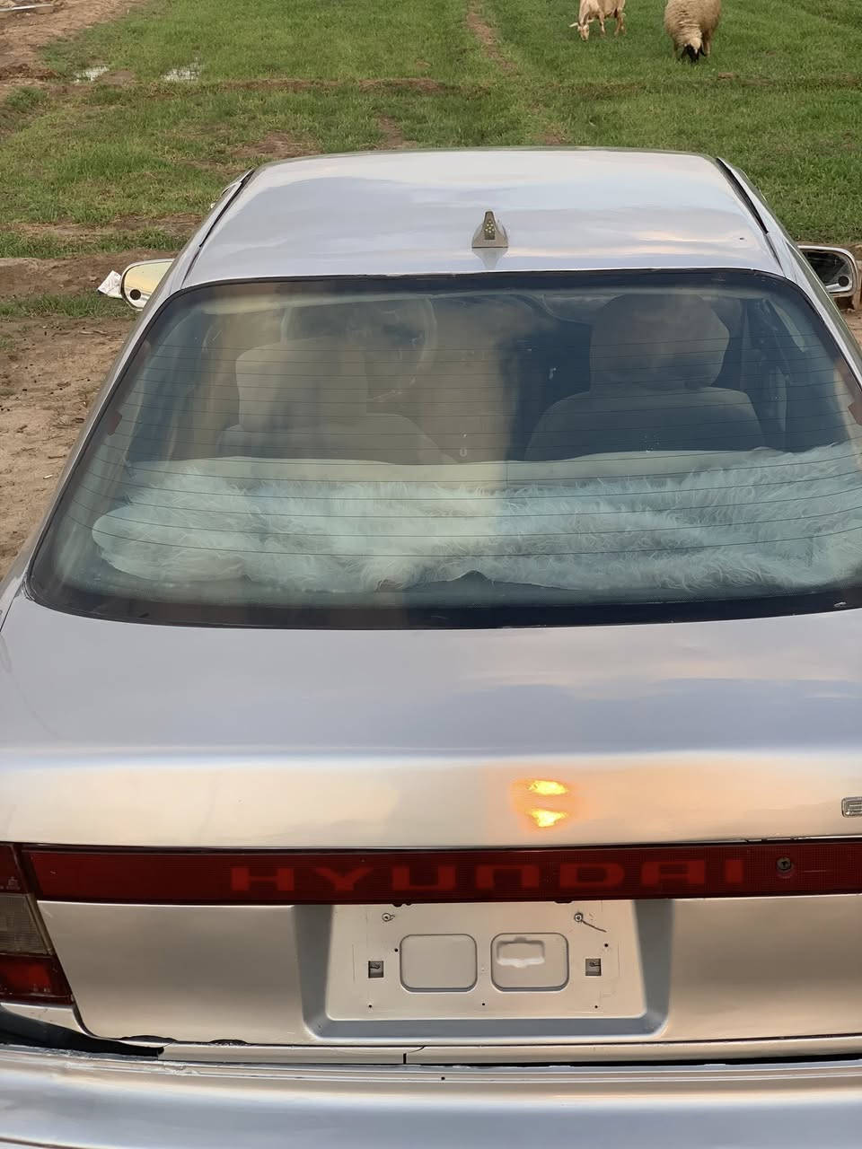 سياره انتره.  موديل 94 صلاح الدين مشروع وطني  سنويه ل28 معمره جديد. وتماتيك محرك لا تنقيص ولا تبخير.  فرام ممه بلاد. جام كهربائي شغال.  اشاير كله كهربائيات شغاله. تبريد كامله منضومه بس كنبريسر  سعر 32وبيها مجال.    رقم الهاتف *********** مكاني سامراء
