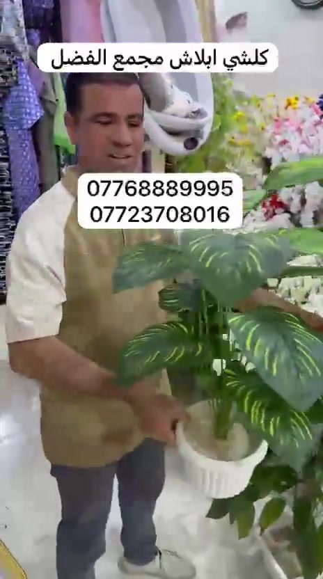 العنوان العرضات قرب شوون المراه 


**إذا كنت صاحب هذا الإعلان وتريد حذفه لأي سبب، رجاءا أرسل رسالة إلى الدعم الفني**