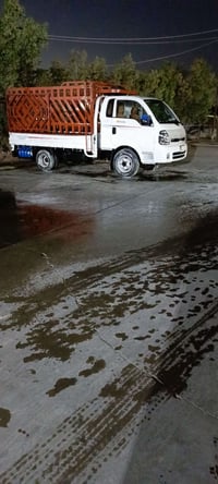 فحل موديل 21 • القادسيه • جاهز حمل