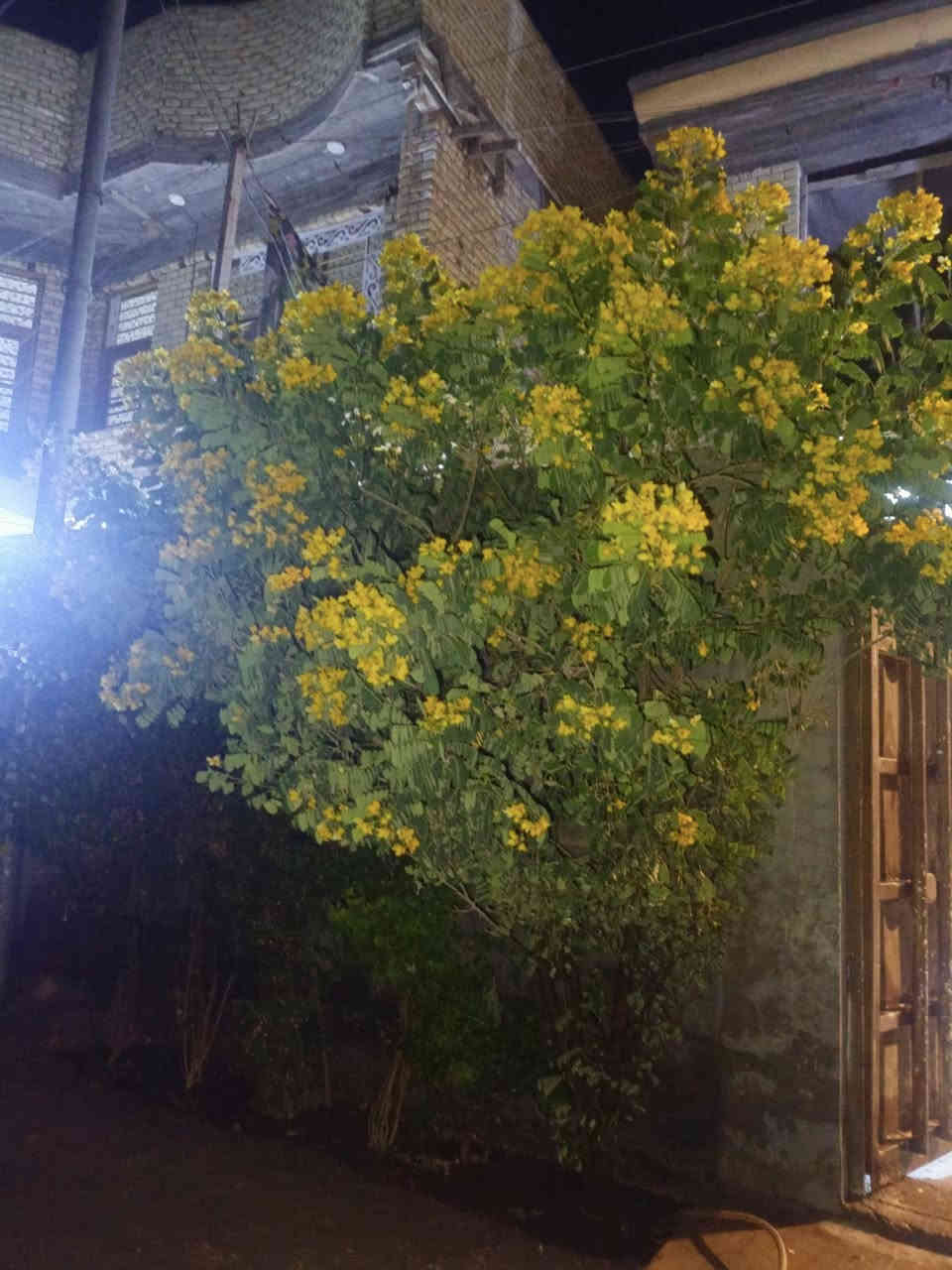 السلام عليكم ورحمه الله وبركاته 
بيت للبيع زراعي سند 25المساحه 170صافي واجهه 10والنزال 17طابقين الطابق الاول يتكون من غرفه واستقبال وهول ومطبخ وصحيات داخليه وخارجه +حديقه بلبيت وخارج البيت بلباب مرتبه الطابق الاول كامل من كلشي مابي نقص البناء حديث طابوك جمهوري وصب مسلح والطابق الثاني نفس البناء هيكل الطابق الثاني العنوان الحولي خلف حي الضباط يبعد عن الشارع العام 100متر خدمات متوفره  السعر خاص  او يتصل الشراي وبي خير ويدلل هاذه رقمي ***********
