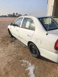 فيرنا ٢٠١٤ • باسمي • البصرة