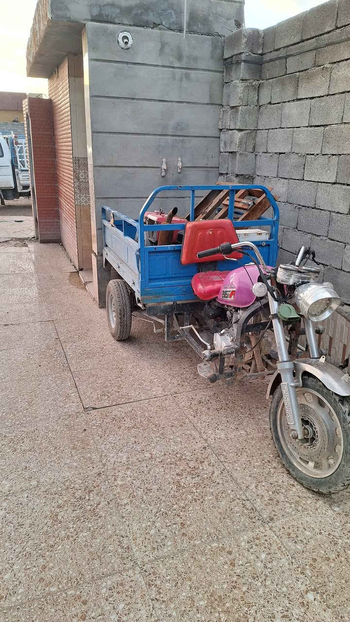 ستوتة للبيع نضيفة حيل ***********
