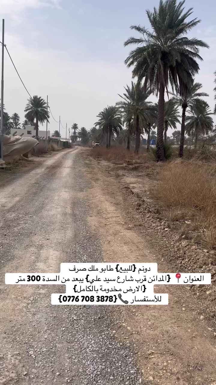 سلام عليكم  دونم {للبيع} طابو ملك صرف 
وجه الارض 24 متر 
العنوان📍 {المدائن قرب شارع سيد علي} يبعد من السدة 300 متر  {الارض مخدومة بالكامل}
للأستفسار 📞{‭0776 708 3878‬}
 #مزارع #عقار #عقارات #بيع #بغداد
