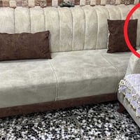 تخم تركي • 10 مقاعد • بغداد الشعب
