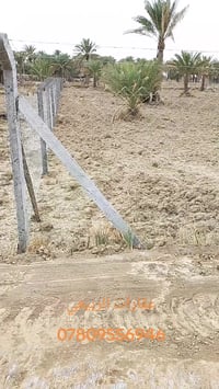 حلة • سكن مزارع • ٢٥٠٠م