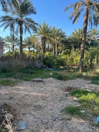 ياالله  للبيع قطعه 200متر في بغداد منطقه الراشديه  نزالت جمال سمكري  ك...