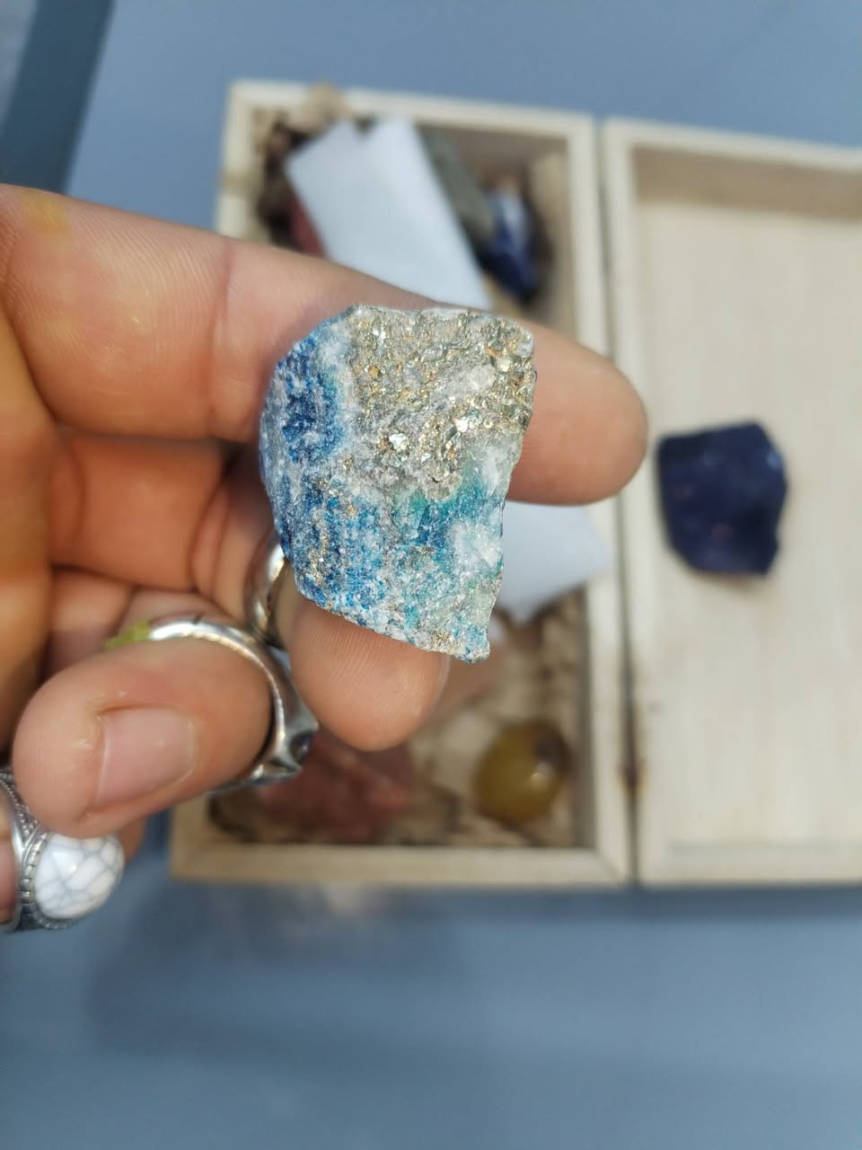 ابيعهن كلهم شلع ذب سعر وبالعافيه


**إذا كنت صاحب هذا الإعلان وتريد حذفه لأي سبب، رجاءا أرسل رسالة إلى الدعم الفني**