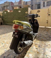 سكنس فحل طلاعات خمسينية دشبول احمر شرايط خضر  ويالة بيض الدراجة بلادية...