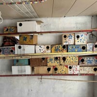 للبيع خانات مال طيور حب وكوكتيل ابو الحاضنه للبيع شلع 25 الف قفاصه مال...