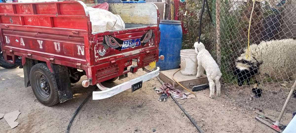 سلام عليكم ستوته موديل 2020 اوراق مكفوله من كلشي مكينه جديده قبل شهرين تقريبا من شاده اكسن جديد بالباكيت كهربائيات كله شغاله ستوته جديده ماعايزه برغي سعره 1300 المكان البصره الشعيبه رقم الهاتف ***********
