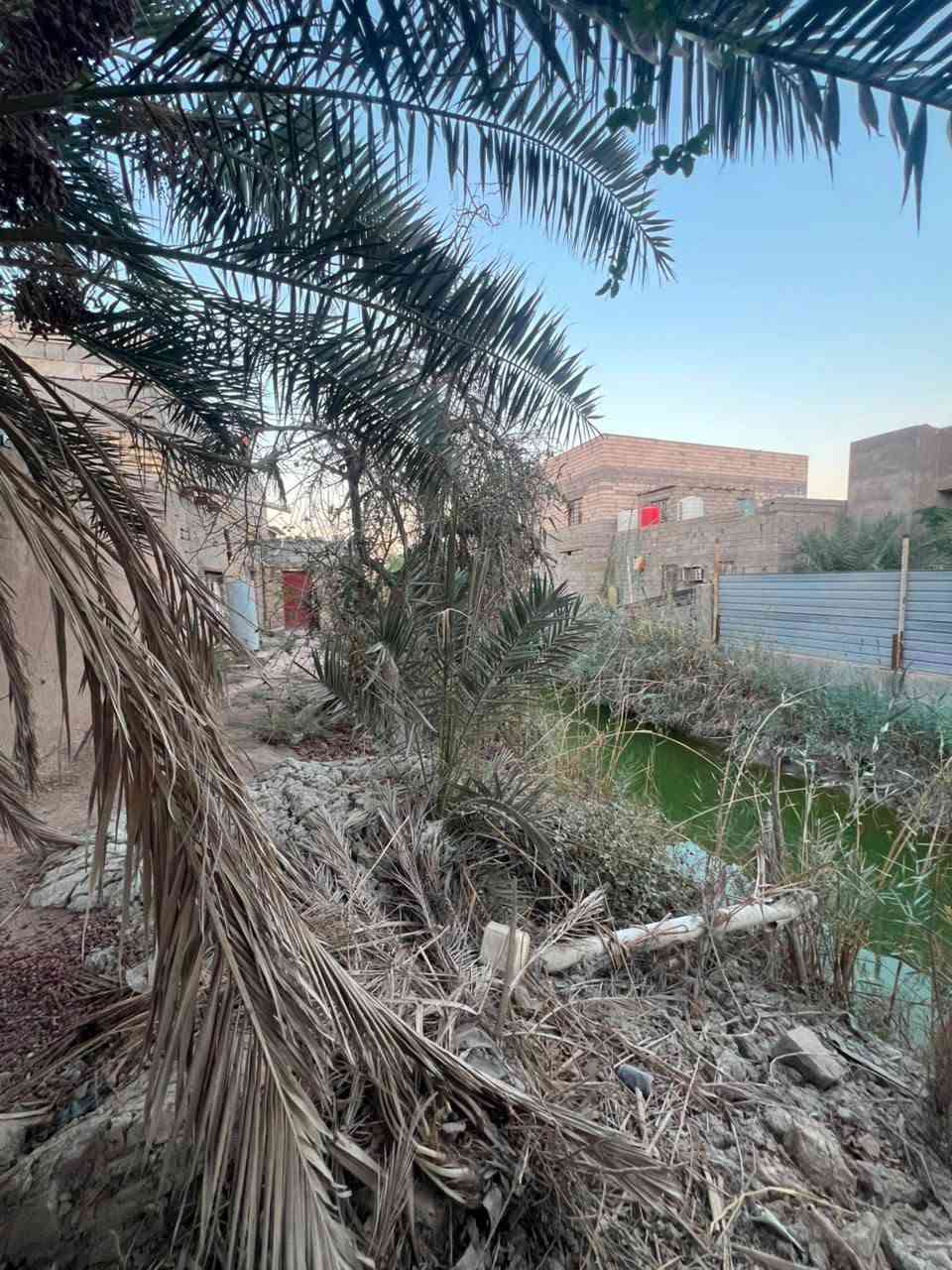 قطعه ارض طابو صرف زراعي سند 25
مساحه دونم 
موقع جيكور تقاطع الميناء بل ضبط موقع تجاري 
واجهيه 33
نزال جه 82 
اوجه الثانيه 76
ضهر القطعه علئ نهر متصل بل شط مباشر
تحتوي علئ بيوت عدد2
الاول 5غرف او صاله او مطبخ او ديوان او حمامات داخليه او خارجيه
الثاني 
غرفتين او مطبخ او صاله او حمامات
تحتوي القطعه عله 25_28نخله برحي***********
